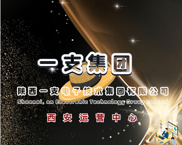 陕西一支电子技术集团